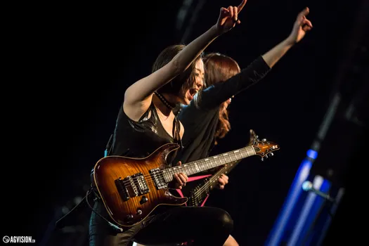 Preview of 2017 gallery