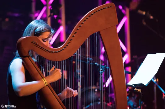 Copyright : AGVision